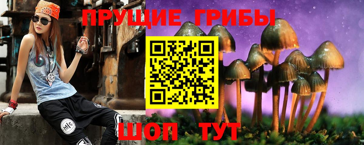 Псилоцибиновые грибы Magic Shrooms Старая Купавна